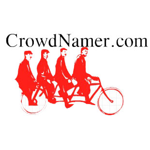 Crowd Namer