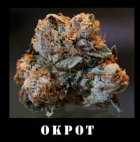 okpot.com