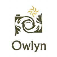 Owlyn