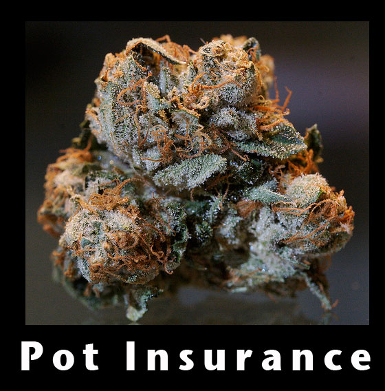 potinsurance potinsurance